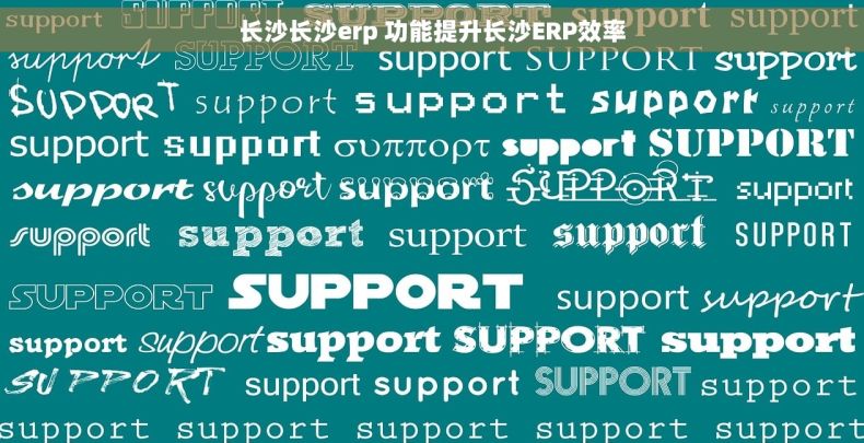 长沙长沙erp 功能提升长沙ERP效率