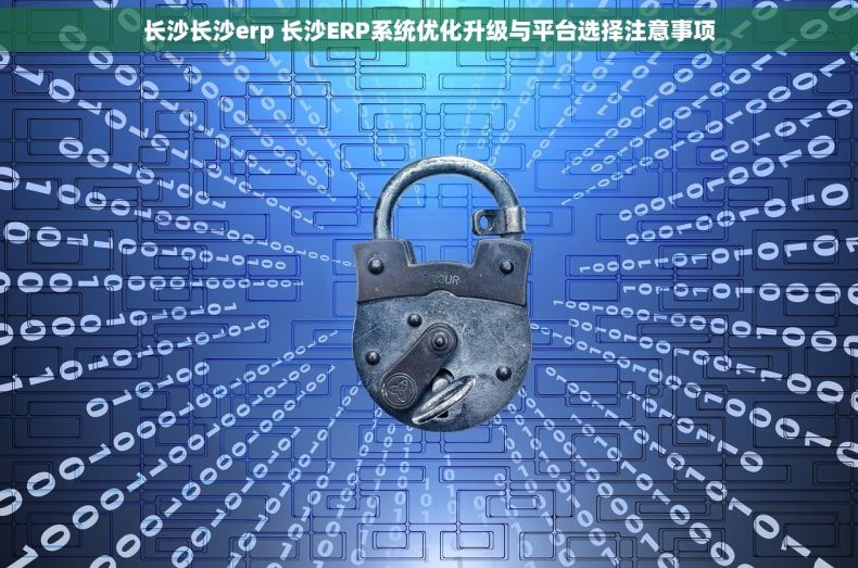 长沙长沙erp 长沙ERP系统优化升级与平台选择注意事项