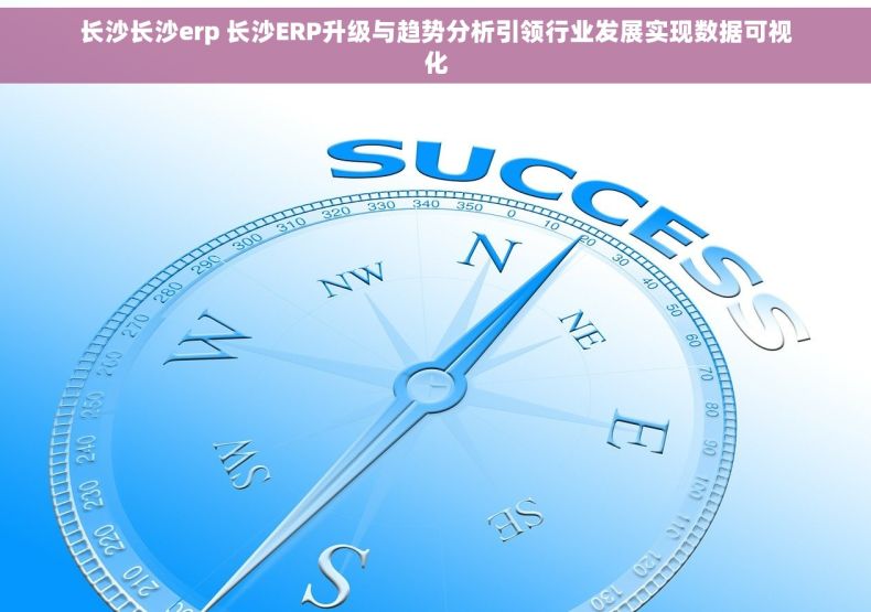 长沙长沙erp 长沙ERP升级与趋势分析引领行业发展实现数据可视化