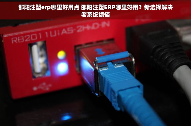 邵阳注塑erp哪里好用点 邵阳注塑ERP哪里好用？新选择解决老系统烦恼