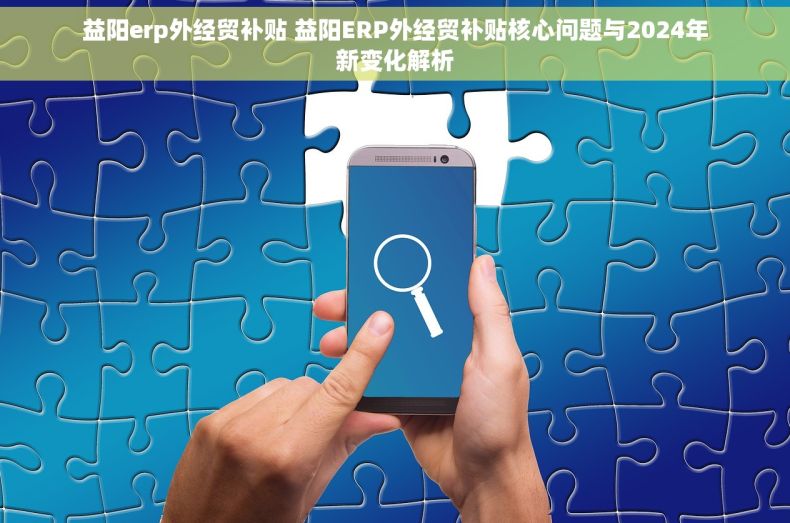 益阳erp外经贸补贴 益阳ERP外经贸补贴核心问题与2024年新变化解析