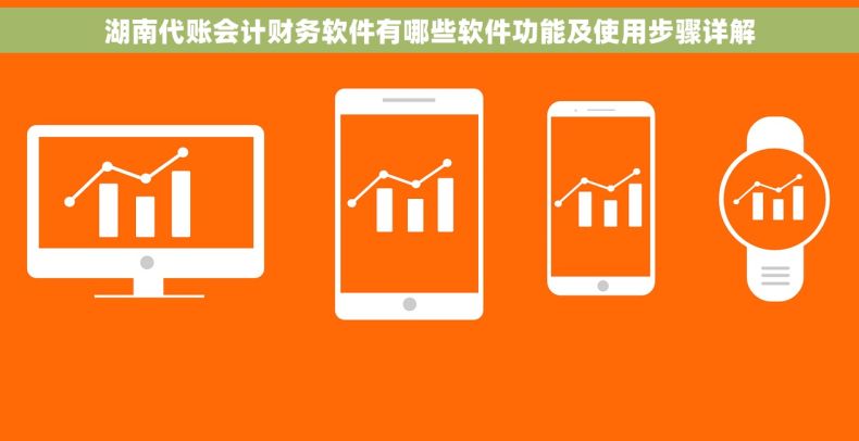 湖南代账会计财务软件有哪些软件功能及使用步骤详解