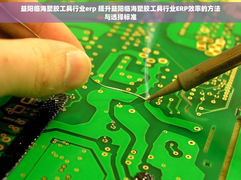 益阳临海塑胶工具行业erp 提升益阳临海塑胶工具行业ERP效率的方法与选择标准