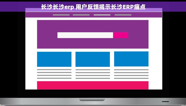 长沙长沙erp 用户反馈揭示长沙ERP痛点