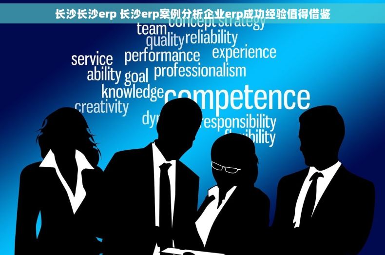 长沙长沙erp 长沙erp案例分析企业erp成功经验值得借鉴
