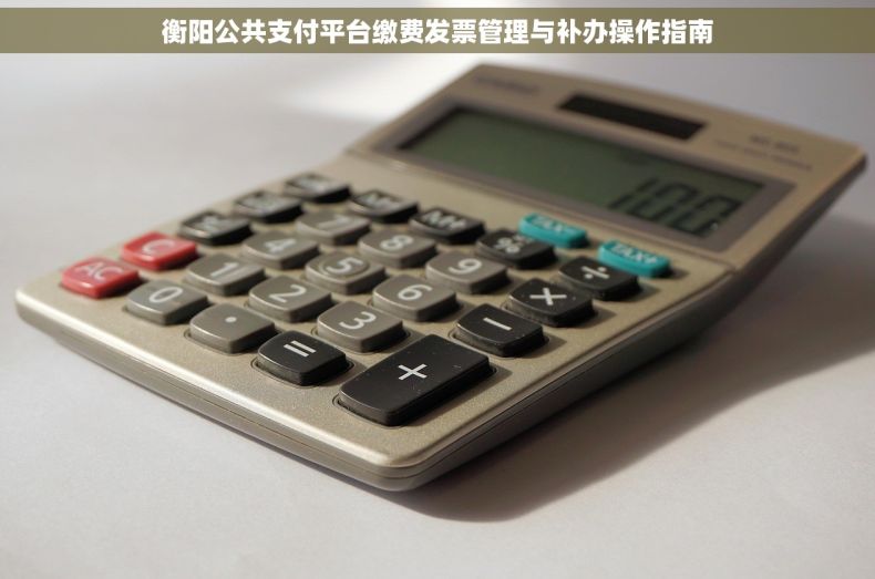 衡阳公共支付平台缴费发票管理与补办操作指南