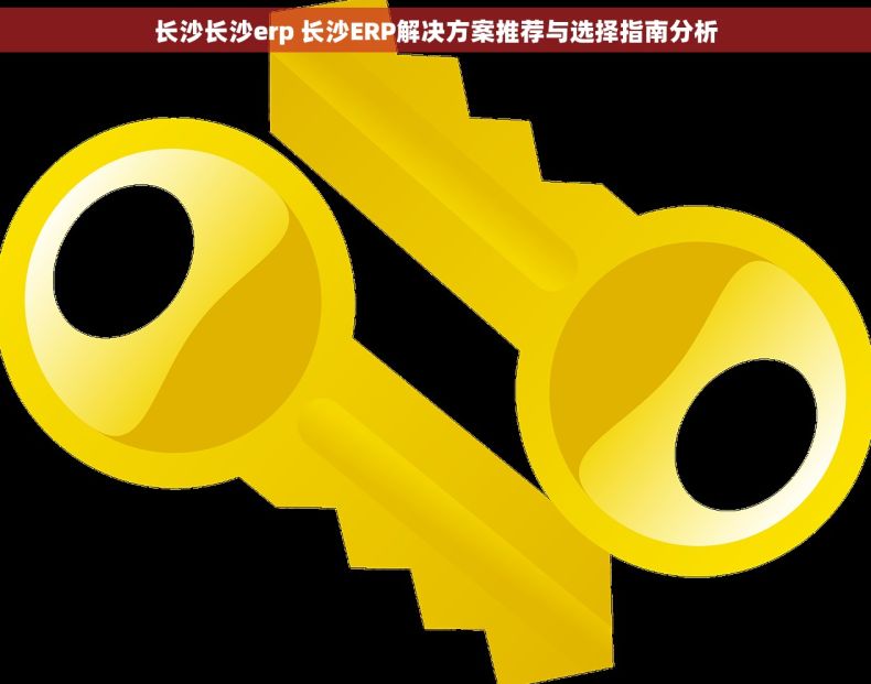 长沙长沙erp 长沙ERP解决方案推荐与选择指南分析
