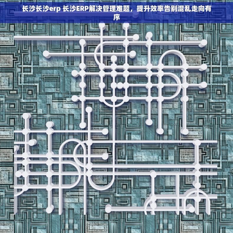 长沙长沙erp 长沙ERP解决管理难题，提升效率告别混乱走向有序
