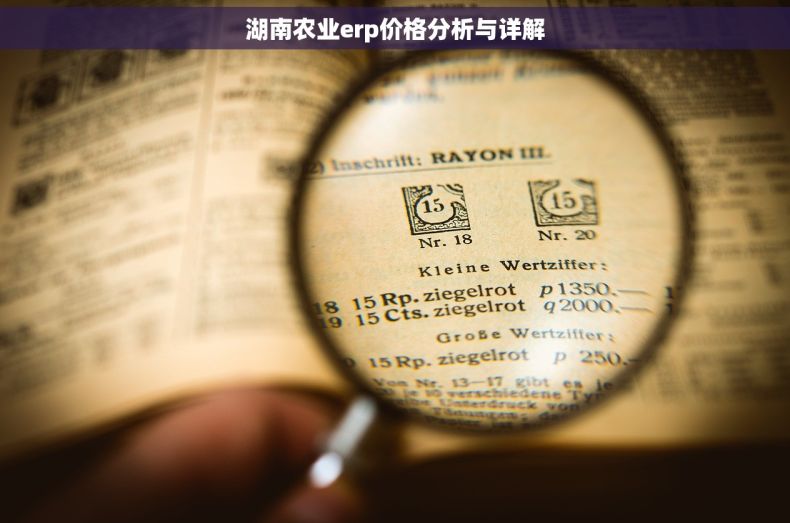 湖南农业erp价格分析与详解