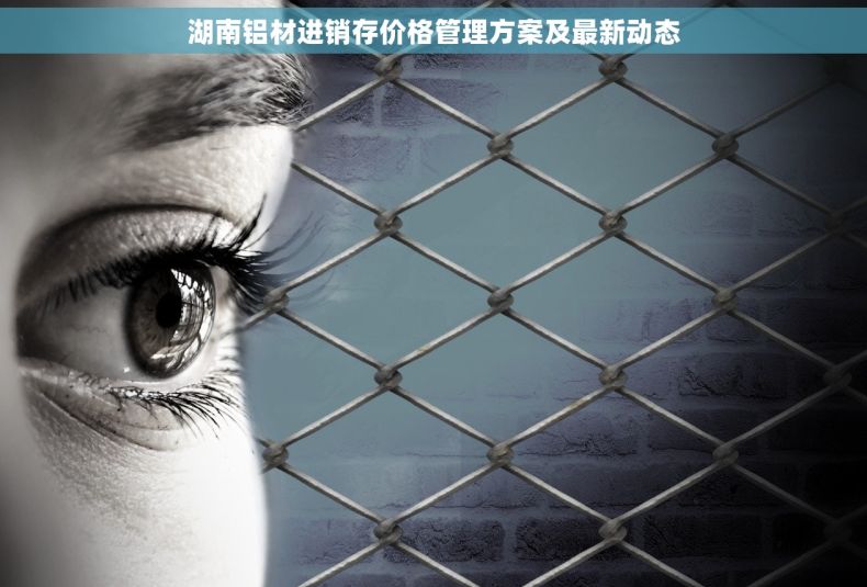 湖南铝材进销存价格管理方案及最新动态