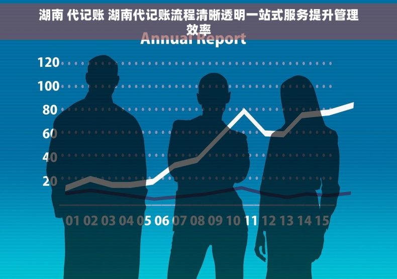 湖南 代记账 湖南代记账流程清晰透明一站式服务提升管理效率