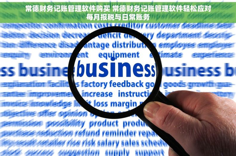常德财务记账管理软件购买 常德财务记账管理软件轻松应对每月报税与日常账务