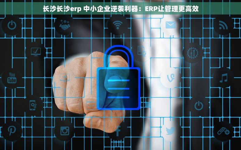 长沙长沙erp 中小企业逆袭利器：ERP让管理更高效