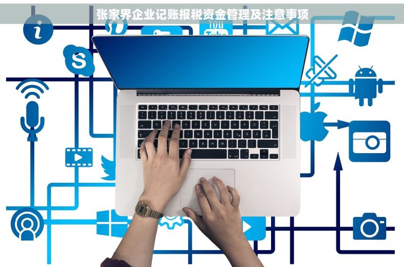 张家界企业记账报税资金管理及注意事项