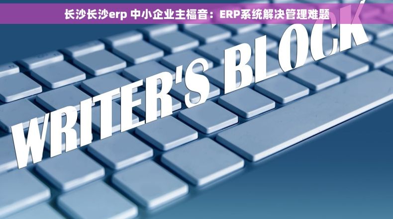 长沙长沙erp 中小企业主福音：ERP系统解决管理难题