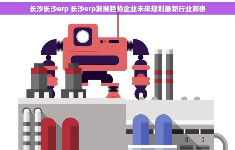 长沙长沙erp 长沙erp发展趋势企业未来规划最新行业洞察