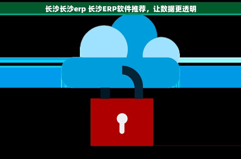 长沙长沙erp 长沙ERP软件推荐，让数据更透明