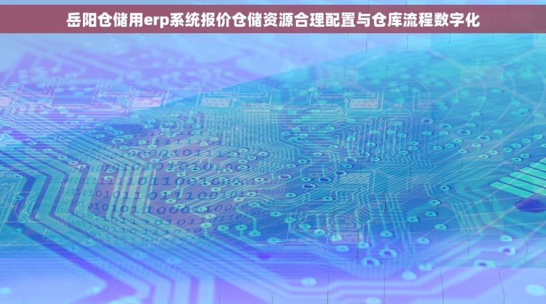 岳阳仓储用erp系统报价仓储资源合理配置与仓库流程数字化