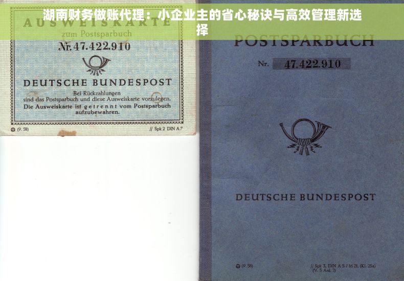湖南财务做账代理：小企业主的省心秘诀与高效管理新选择