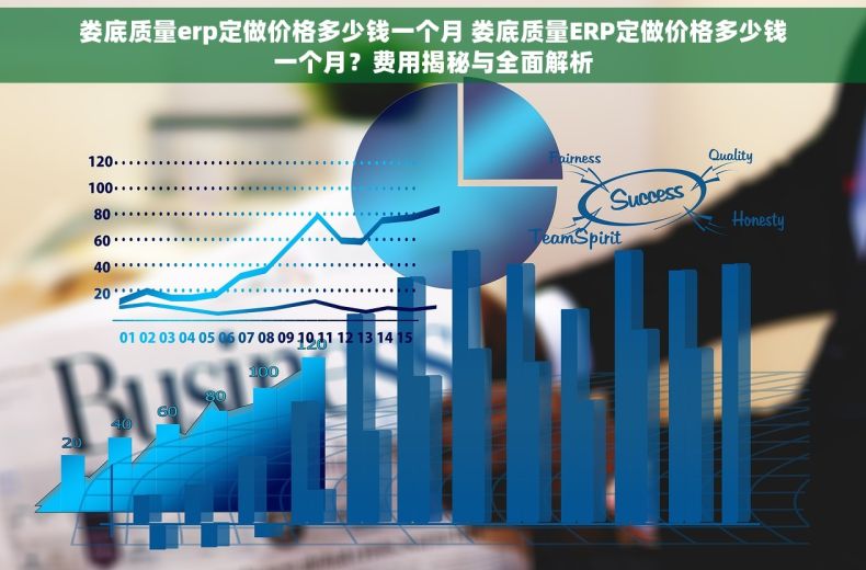 娄底质量erp定做价格多少钱一个月 娄底质量ERP定做价格多少钱一个月？费用揭秘与全面解析