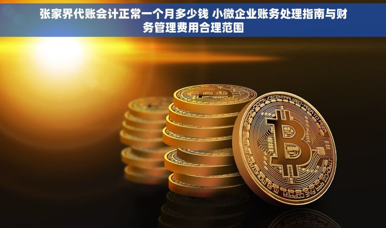 张家界代账会计正常一个月多少钱 小微企业账务处理指南与财务管理费用合理范围