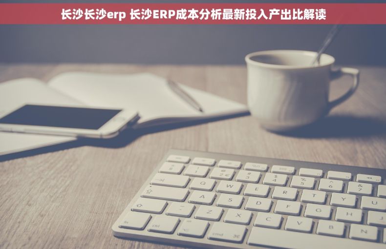长沙长沙erp 长沙ERP成本分析最新投入产出比解读