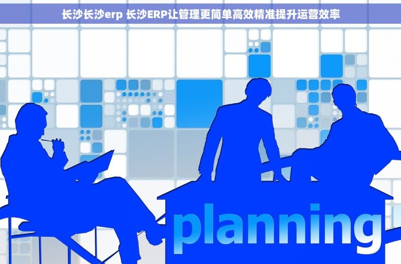 长沙长沙erp 长沙ERP让管理更简单高效精准提升运营效率