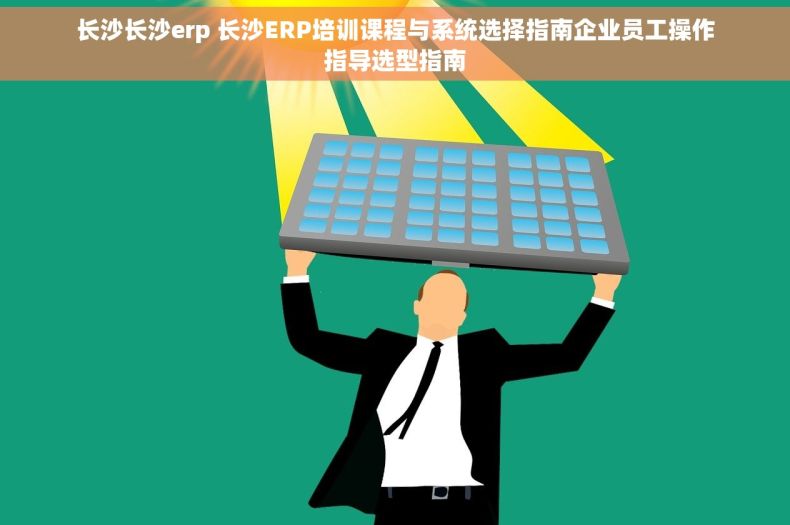 长沙长沙erp 长沙ERP培训课程与系统选择指南企业员工操作指导选型指南
