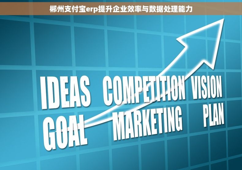 郴州支付宝erp提升企业效率与数据处理能力
