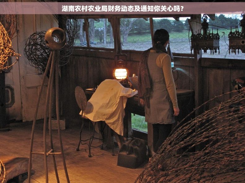 湖南农村农业局财务动态及通知你关心吗？