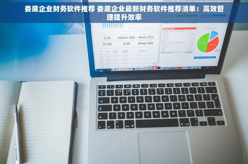 娄底企业财务软件推荐 娄底企业最新财务软件推荐清单：高效管理提升效率