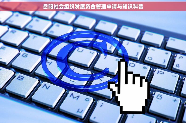 岳阳社会组织发展资金管理申请与知识科普