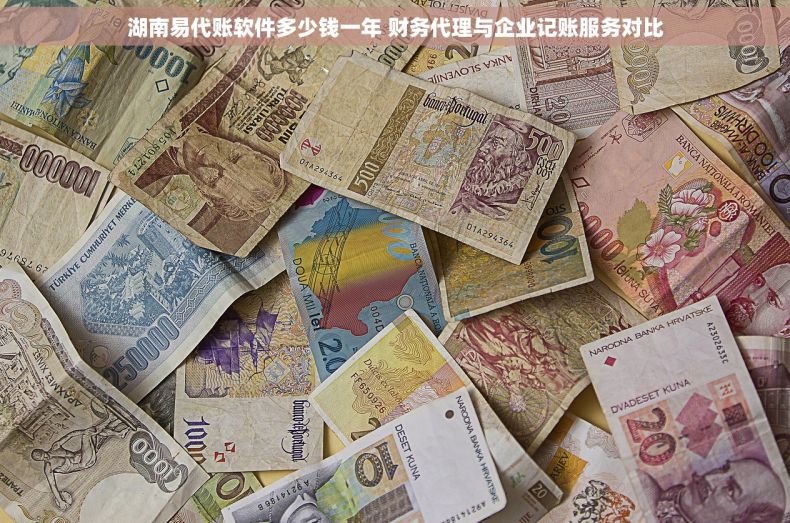 湖南易代账软件多少钱一年 财务代理与企业记账服务对比
