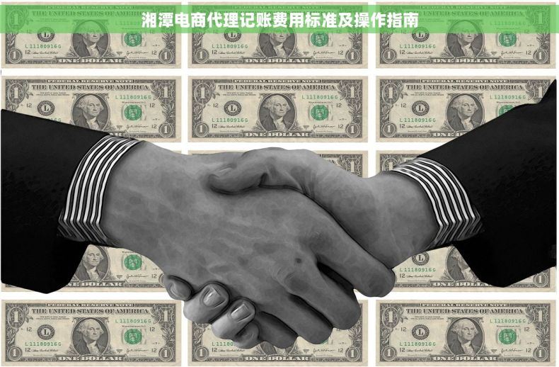 湘潭电商代理记账费用标准及操作指南
