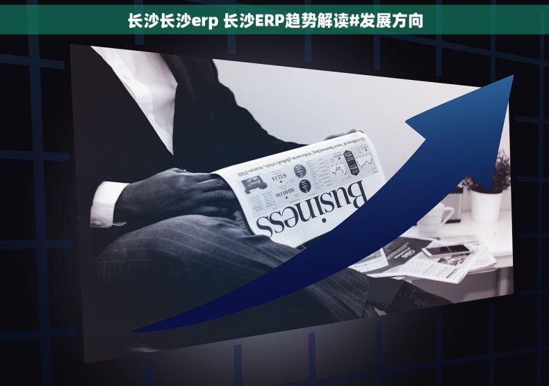 长沙长沙erp 长沙ERP趋势解读#发展方向