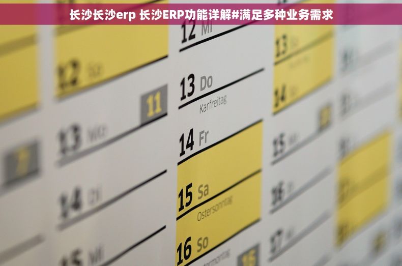 长沙长沙erp 长沙ERP功能详解#满足多种业务需求
