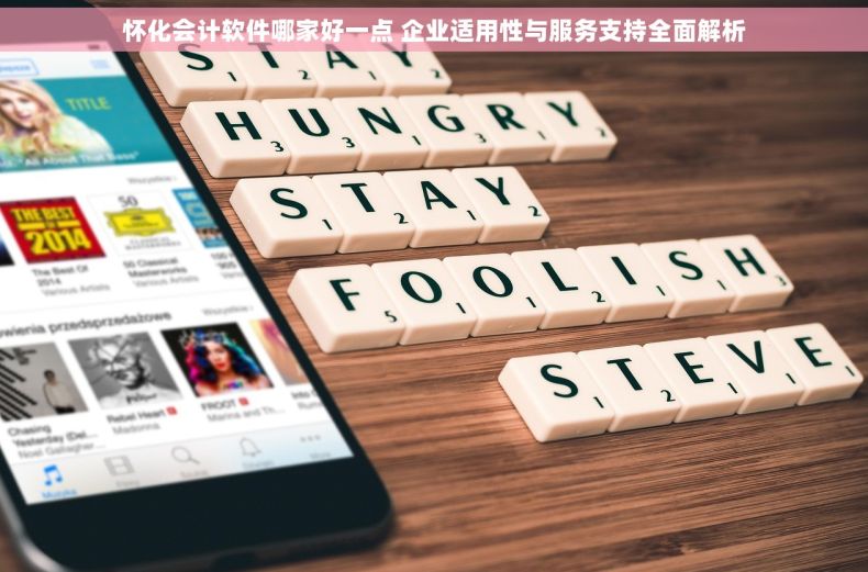 怀化会计软件哪家好一点 企业适用性与服务支持全面解析