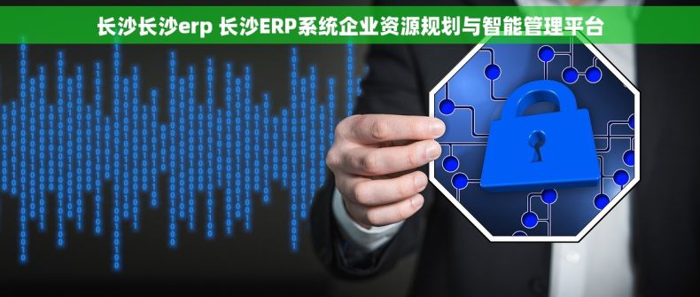 长沙长沙erp 长沙ERP系统企业资源规划与智能管理平台