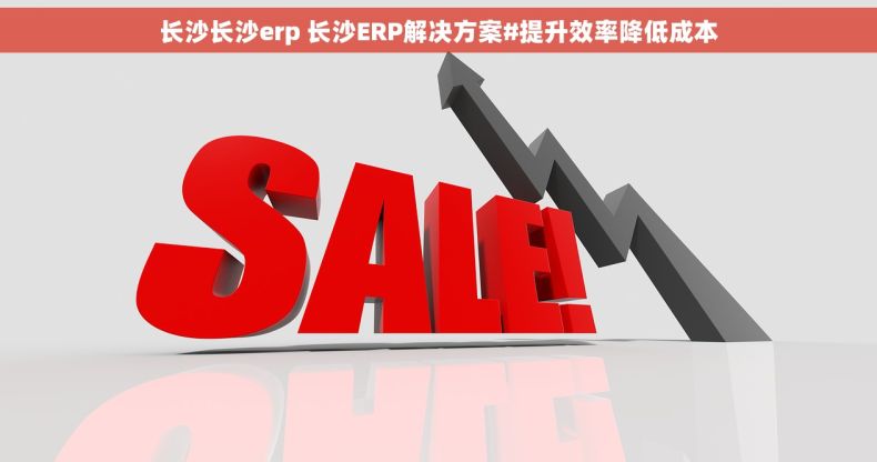 长沙长沙erp 长沙ERP解决方案#提升效率降低成本