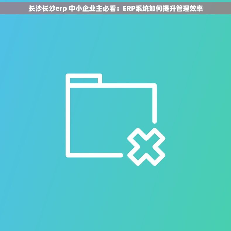 长沙长沙erp 中小企业主必看：ERP系统如何提升管理效率