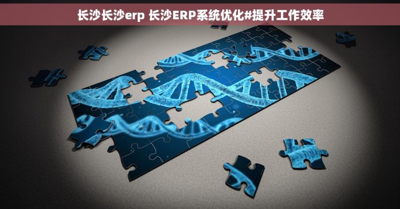 长沙长沙erp 长沙ERP系统优化#提升工作效率