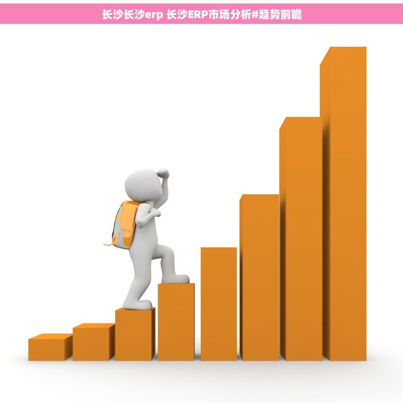 长沙长沙erp 长沙ERP市场分析#趋势前瞻
