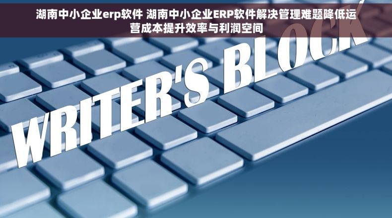 湖南中小企业erp软件 湖南中小企业ERP软件解决管理难题降低运营成本提升效率与利润空间
