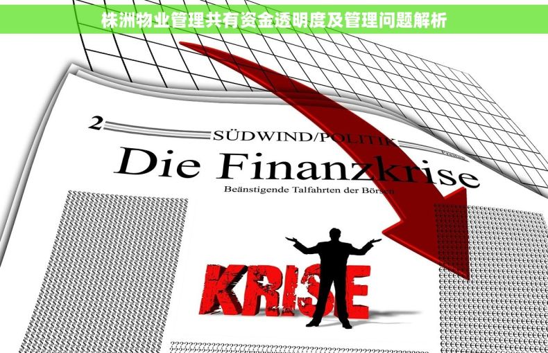 株洲物业管理共有资金透明度及管理问题解析