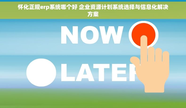 怀化正规erp系统哪个好 企业资源计划系统选择与信息化解决方案