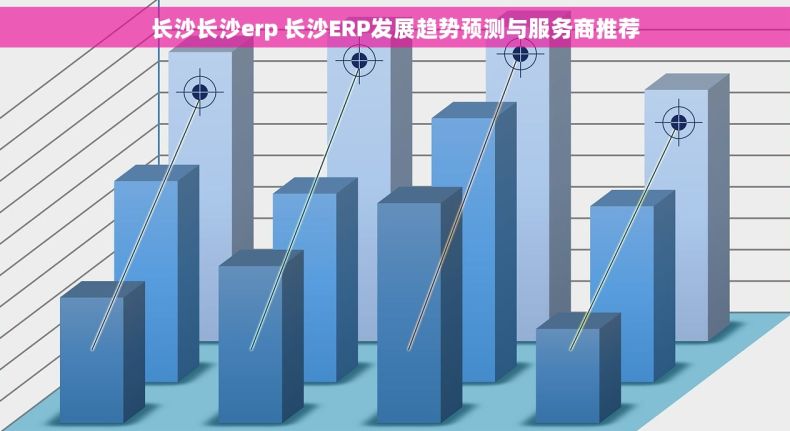 长沙长沙erp 长沙ERP发展趋势预测与服务商推荐