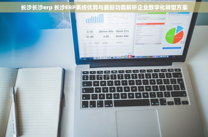 长沙长沙erp 长沙ERP系统优势与最新功能解析企业数字化转型方案