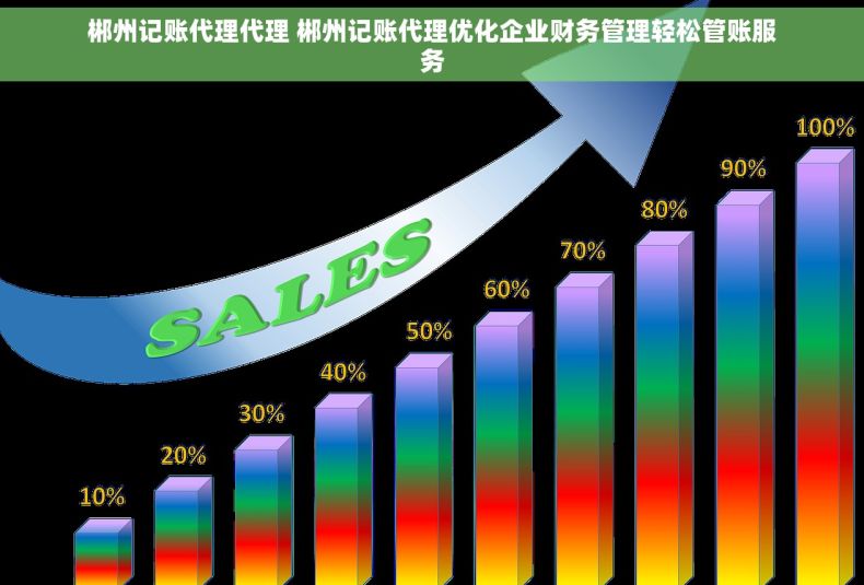 郴州记账代理代理 郴州记账代理优化企业财务管理轻松管账服务