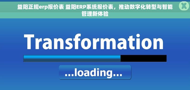 益阳正规erp报价表 益阳ERP系统报价表，推动数字化转型与智能管理新体验
