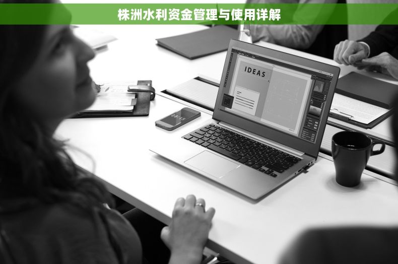 株洲水利资金管理与使用详解